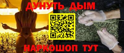 МДПВ Камышлов