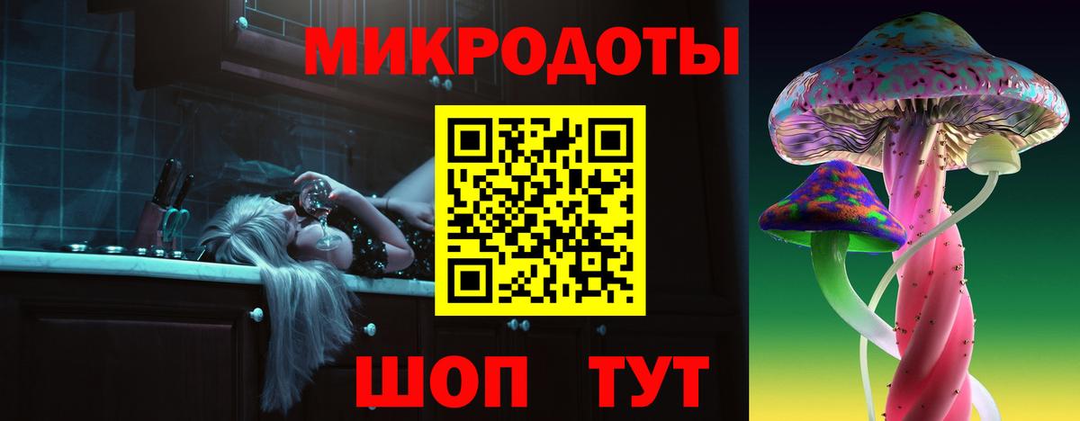 Звенигород  Галлюциногенные грибы Psilocybe  Вход с VPN 